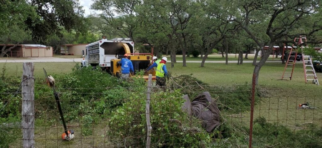 Tree removal San Antonio