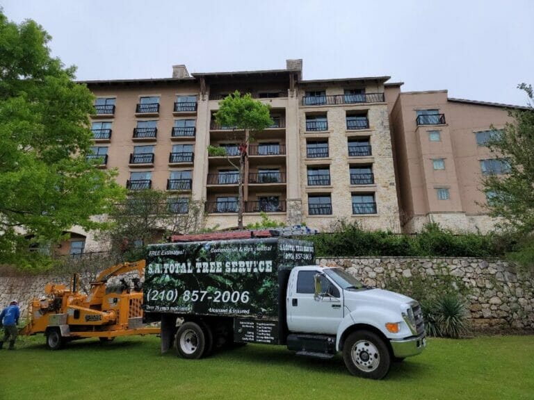 Best tree removal service San Antonio by S.A. Total Tree Services