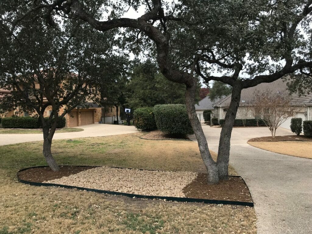 Commercial Tree service near me - San Antonio area
