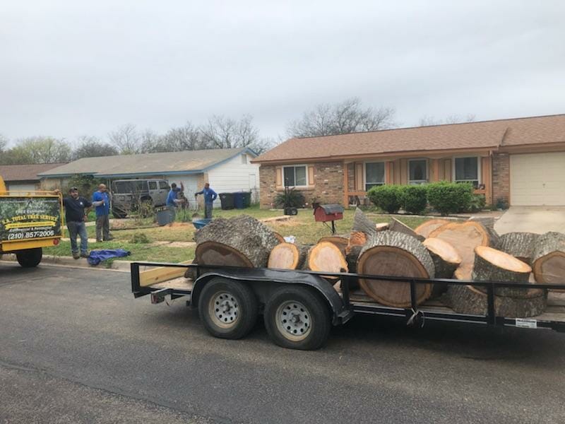 Tree Stump Removal San Antonio TX