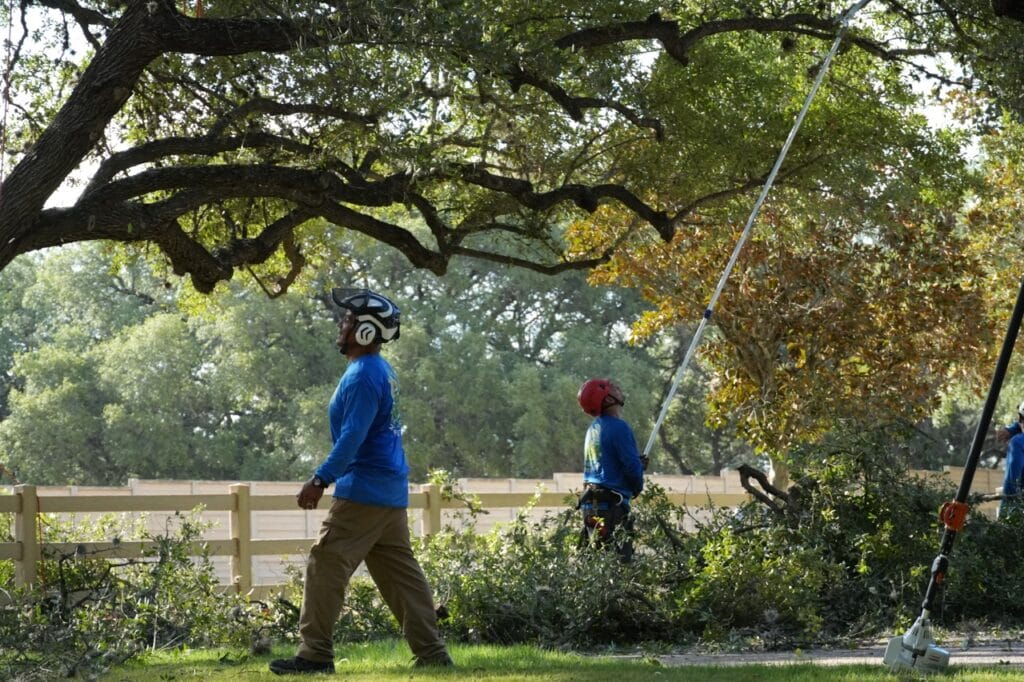 S.A. Total Tree Service planning and tree trimming a large property