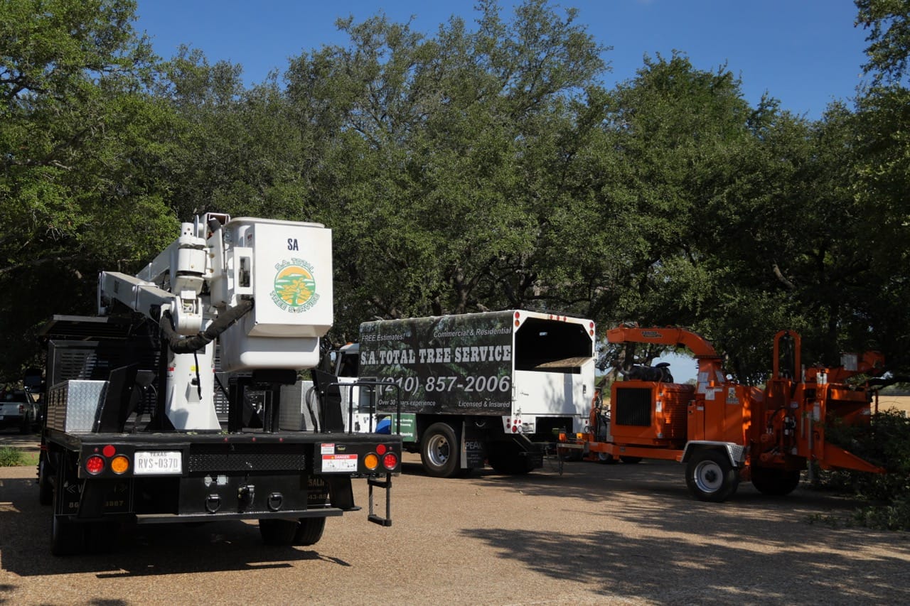 Complete tree service and care company in san antonio texas