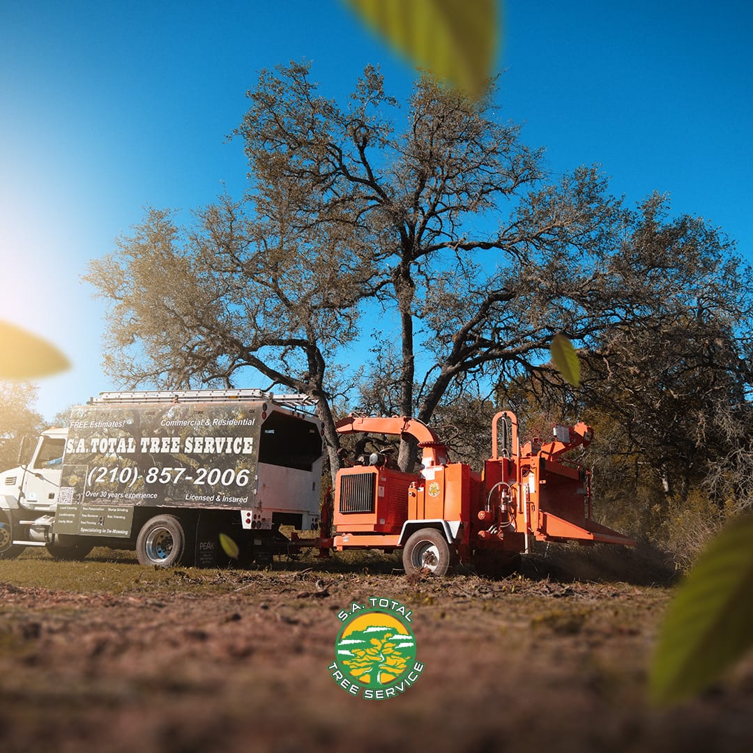 S.A. Total Tree Service professionals operating a wood chipper next to their service vehicle in a forested area.